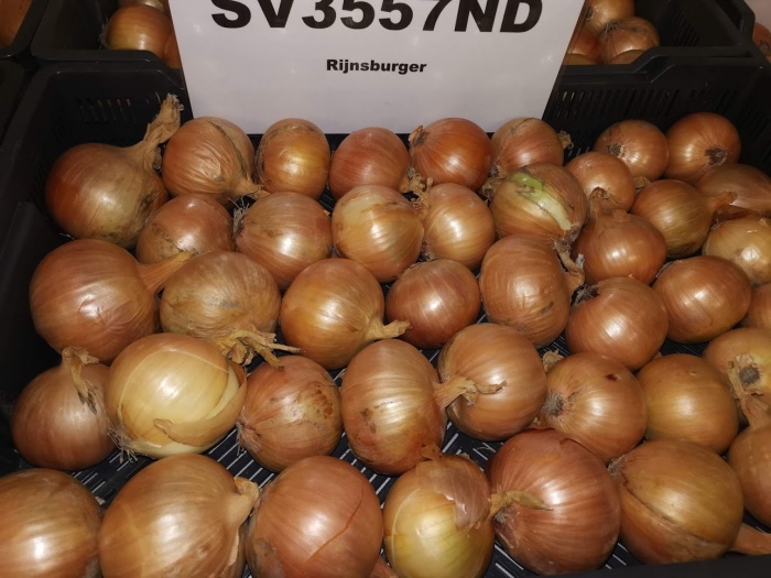SV3557ND F1