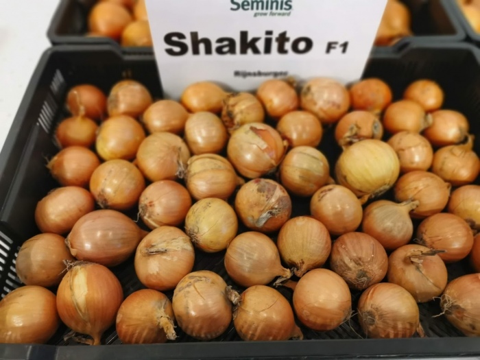 SHAKITO F1  PROMOCJA!!!5+1 za 1 zł