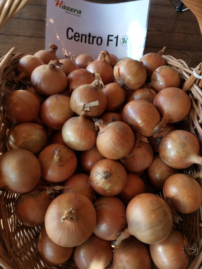 CENTRO F1 PRECYZYJNE