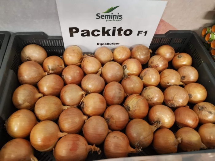 PACKITO F1 PROMOCJA!!! 5+z za 1 zł